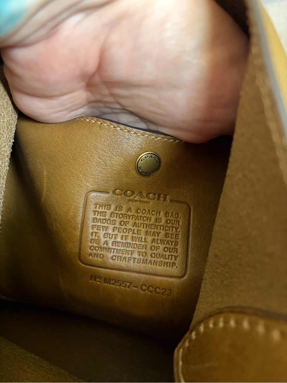 Coach Bleecker Bucket Bag Crossbody Smooth Leather/Brass/Muted Olive-Large Size - Picture 9 of 10
